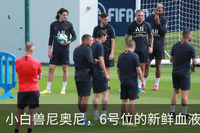 小白兽尼奥尼，6号位的新鲜血液
