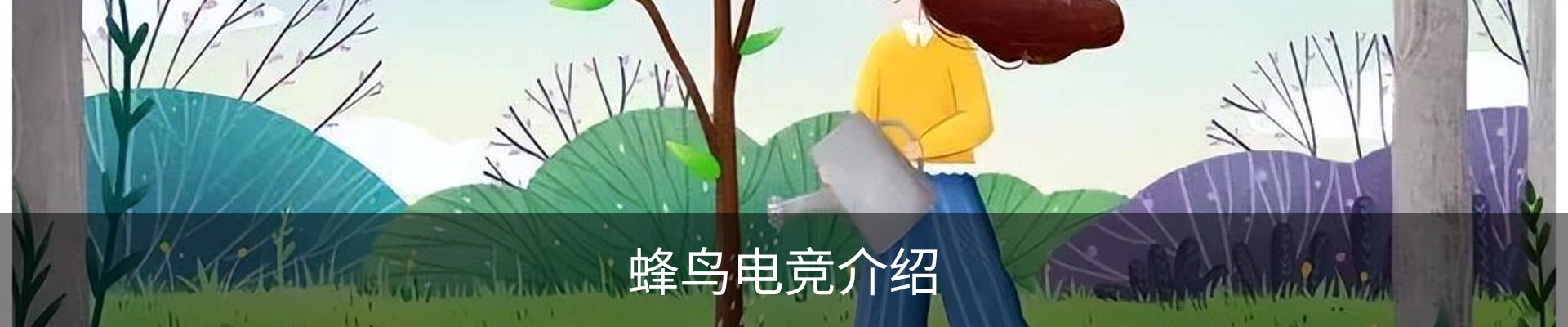 蜂鸟电竞介绍